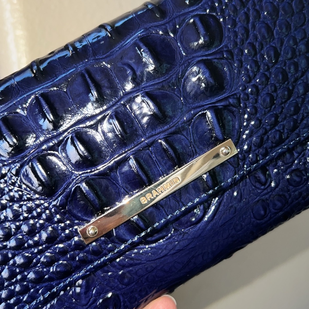 Brahmin Checkbook Ink